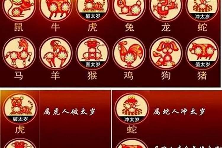 猪破太岁佩戴什么