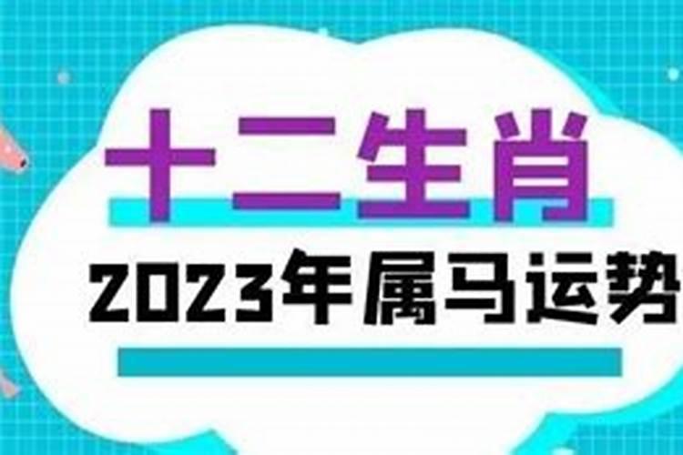 2023年生肖马