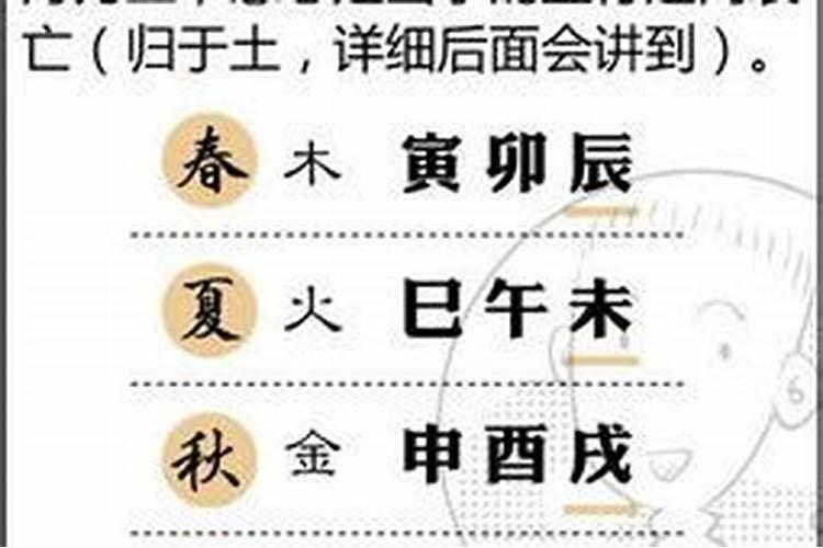 八字卯是什么意思