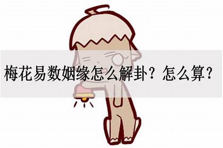 要算姻缘用什么算比较好