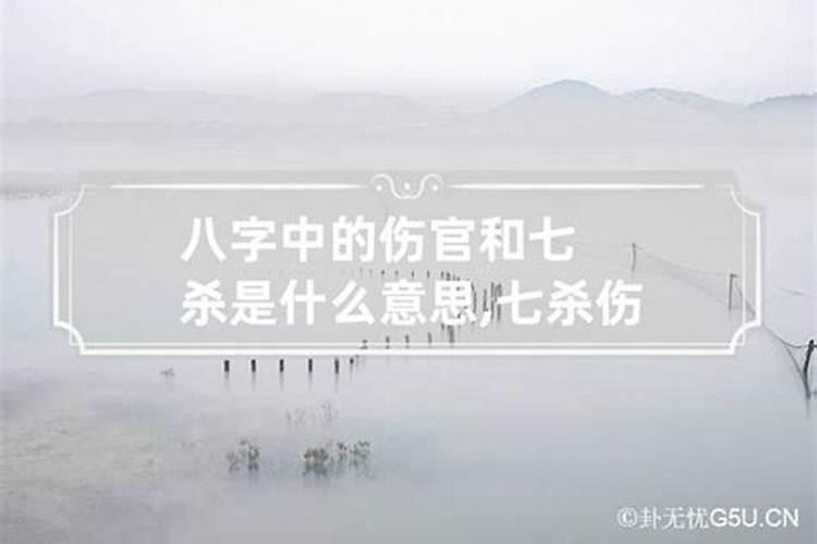 合婚流程