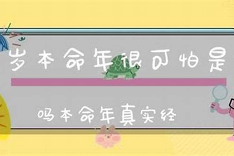 神巴巴测试八字排盘