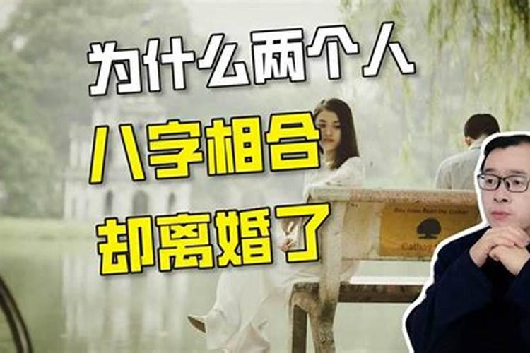 属狗的跟属狗的合婚吗女