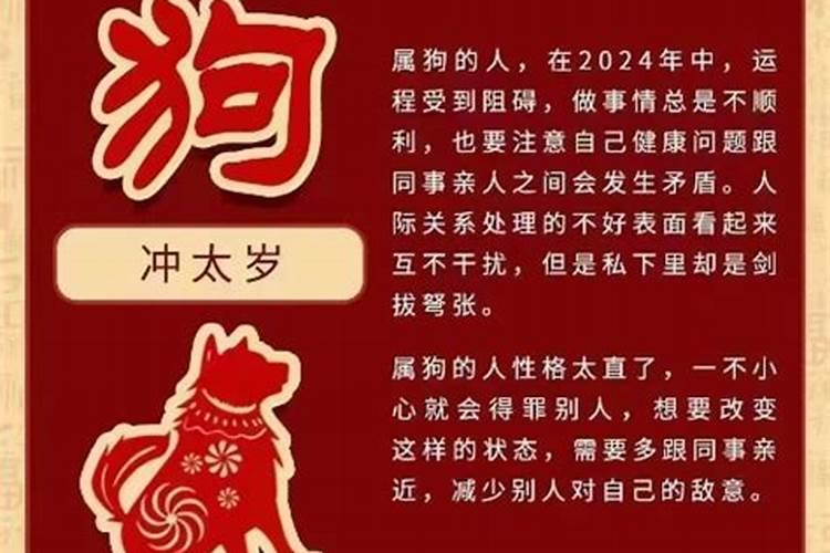 属狗的今年是犯太岁吗