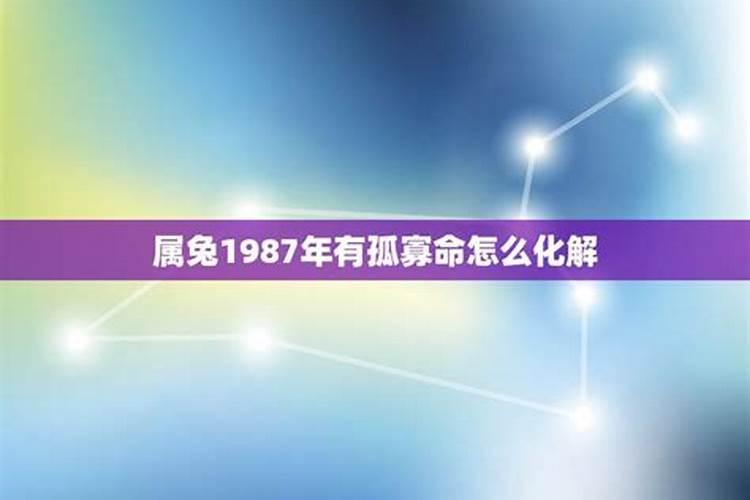 1987年属兔35岁后会大富大贵