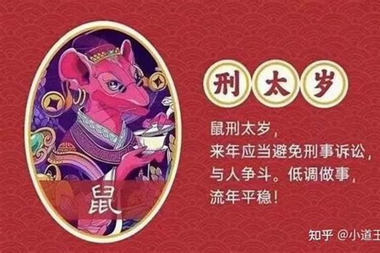 属鼠犯太岁有哪些年