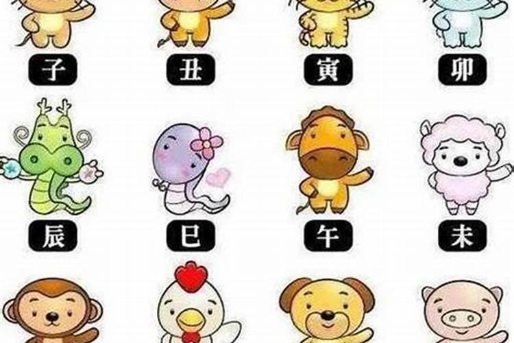 生肖属猴和属狗的合八字吗