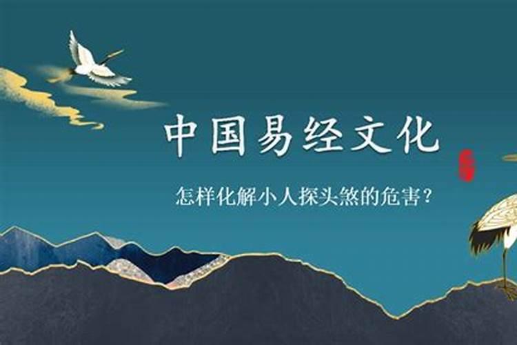 属马的在2021年犯太岁吗