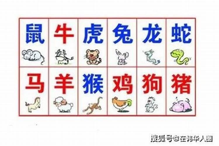 属马与属羊的八字合吗