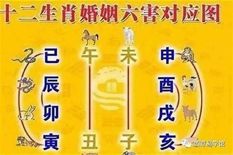 小人代表什么生肖动物意思