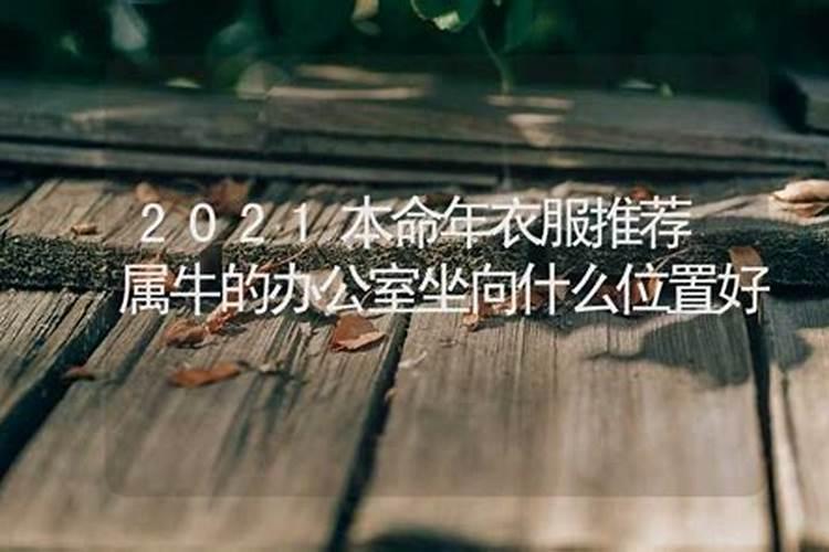 2021本命年找工作会怎么样