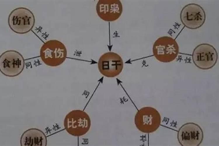 生肖是生辰八字中的哪一个字呢