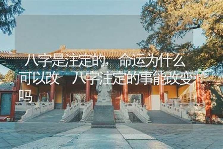 八字注定了命运吗