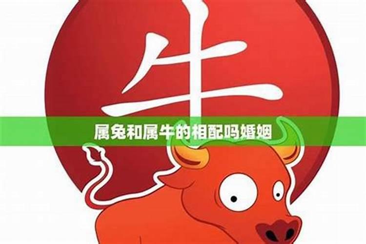 童子命化解不成功怎么办