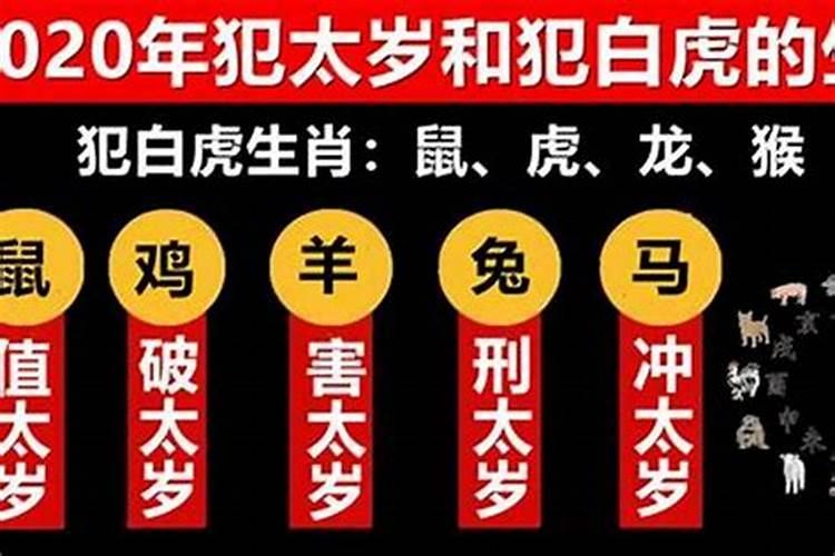 2020犯太岁的属相有什么