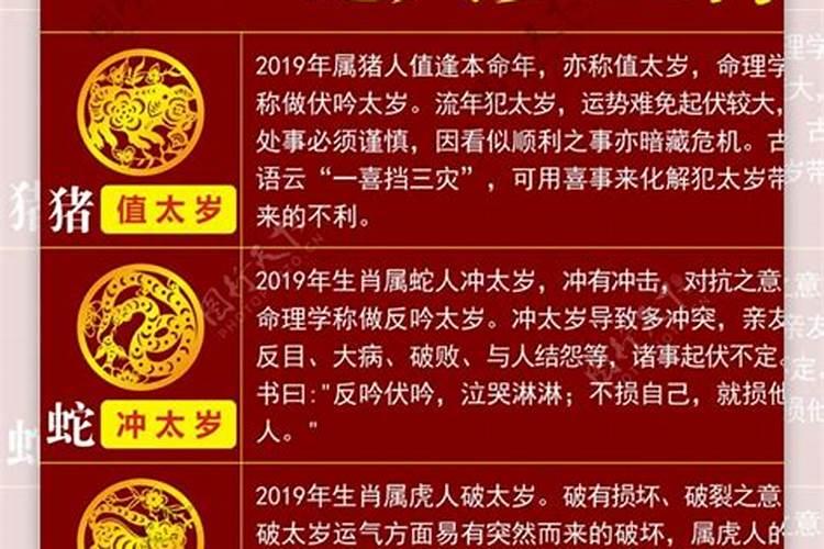 2019年什么生肖犯太岁呢