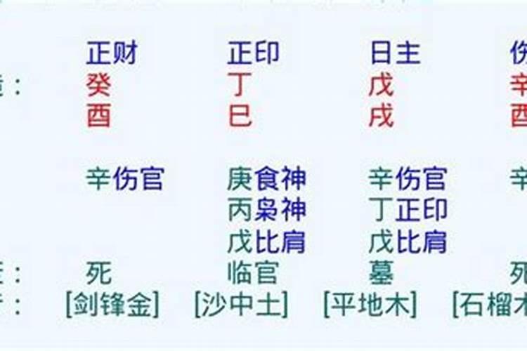 八字中余气中气本气指什么