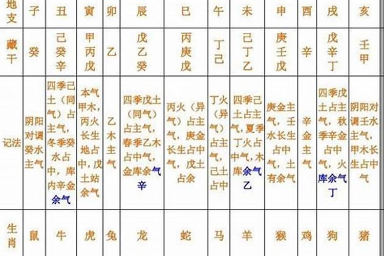 八字中的本气是什么