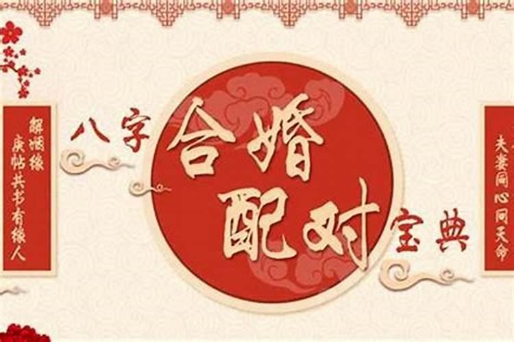 八字合婚上等婚姻福德好吗