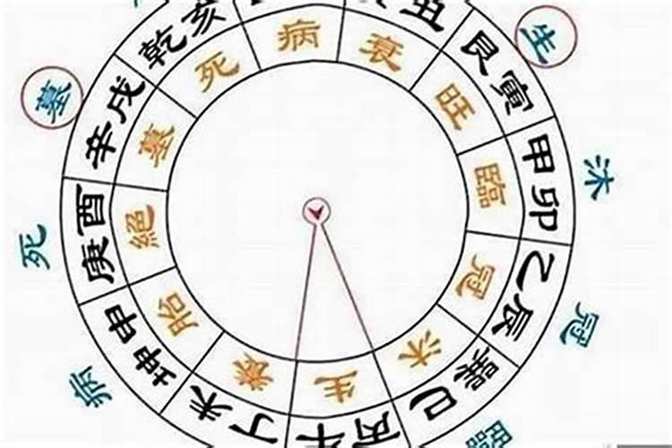 生肖羊在哪一年犯太岁