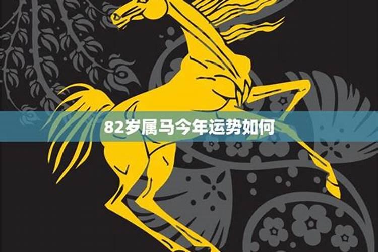 属马今年运势2021年运势