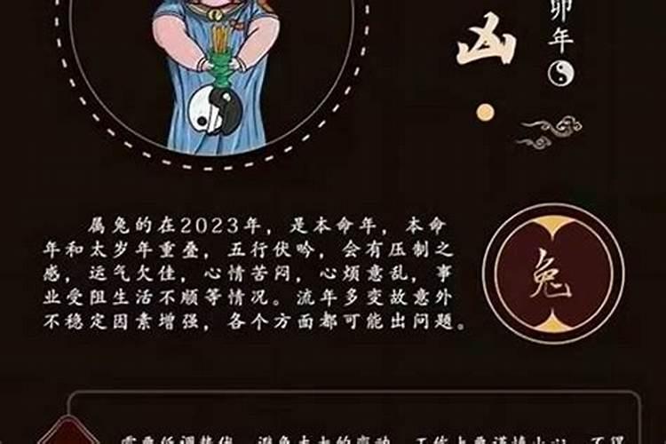 属马的为何2023年犯太岁冲喜？2020属马冲太岁注意什么