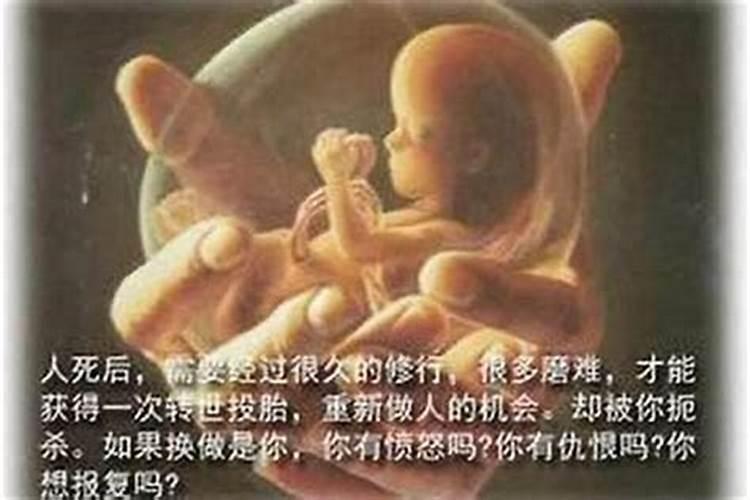 超度婴灵去哪个寺庙好？超度婴灵多少钱