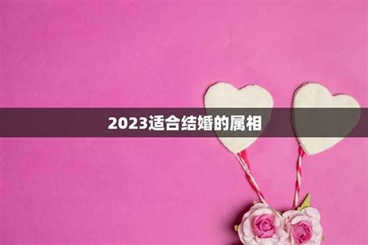 2020年适合结婚的属相