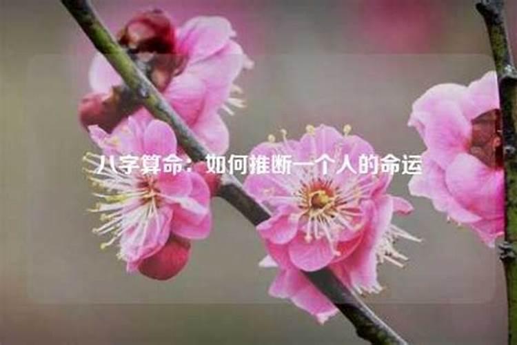 算命大师能超度婴灵