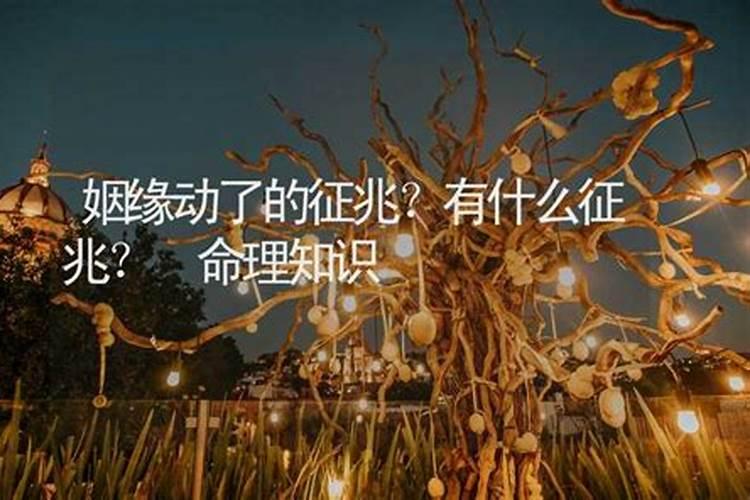 算命说我动了婚姻什么意思