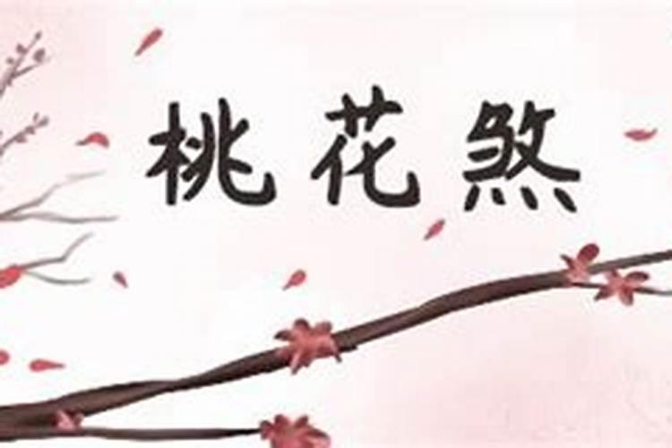 八字里有桃花煞(桃花煞影响财运吗)