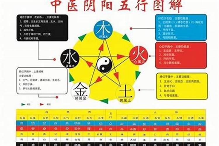 己未五行属什么命？辛未年纳音属什么