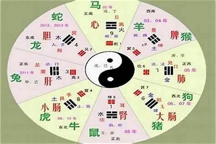 己未五行属什么命？辛未年纳音属什么