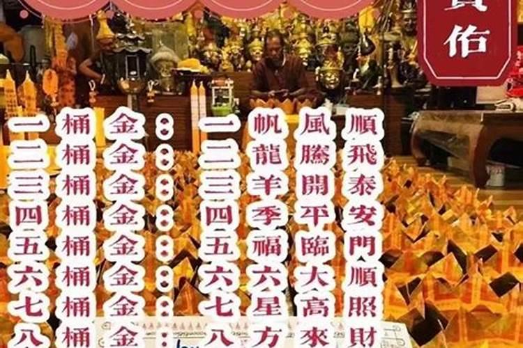 2023年份生肖配对表