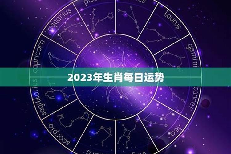 查看2023年的运势