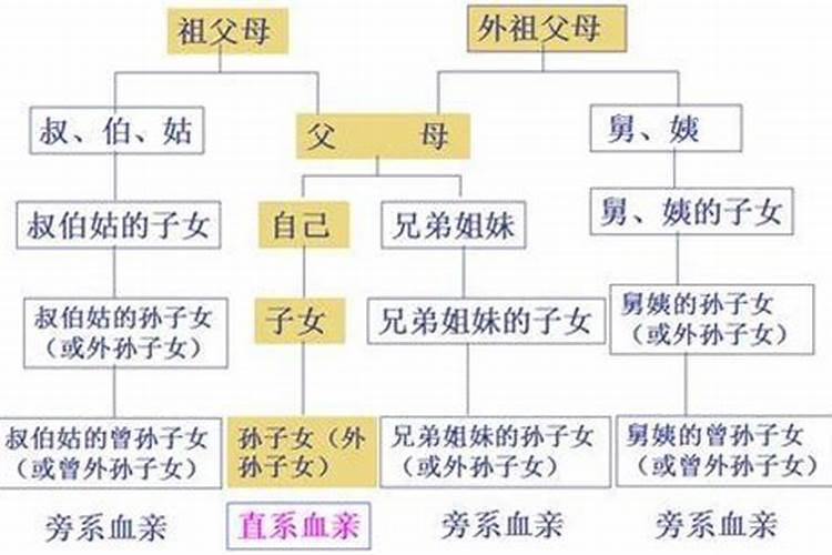 太岁在家养有什么讲究嘛