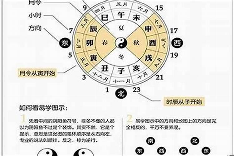 婚配属相八字查询