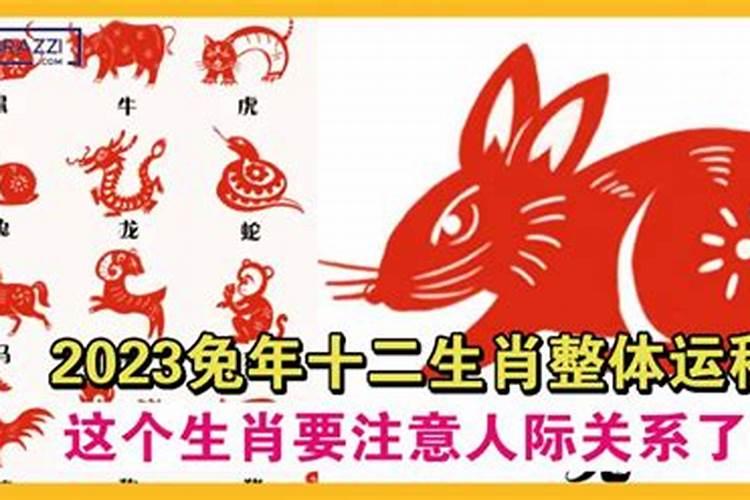 测八字2023年的运势，免费八字算命2021年个人运势