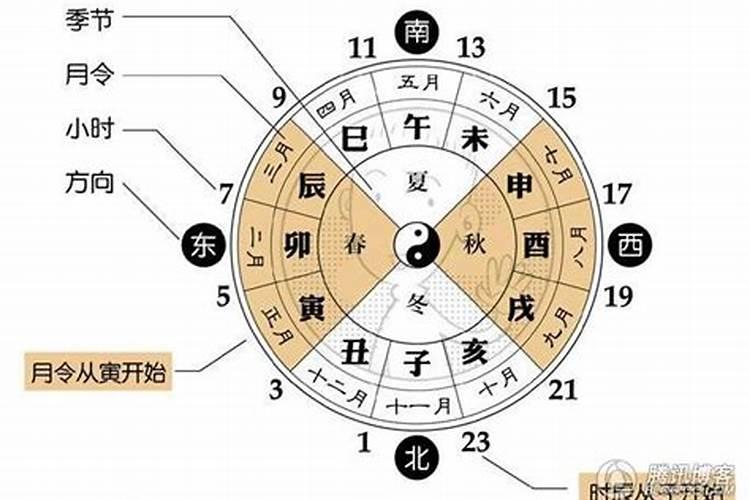 八字中透与不透的作用区别是什么