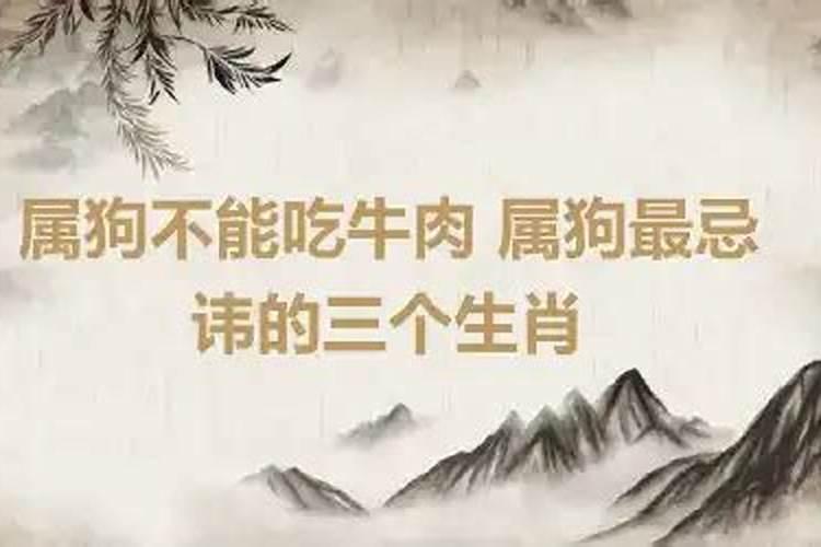 狗兔属相婚配好不好