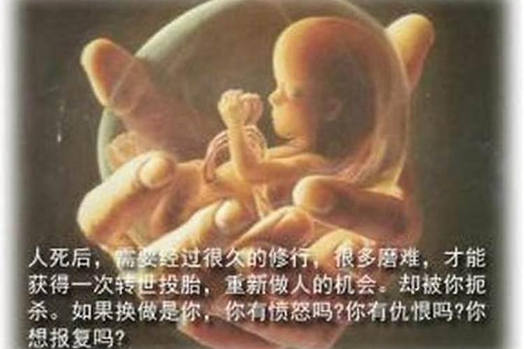 羊鼠相害怎么化解婚姻不顺