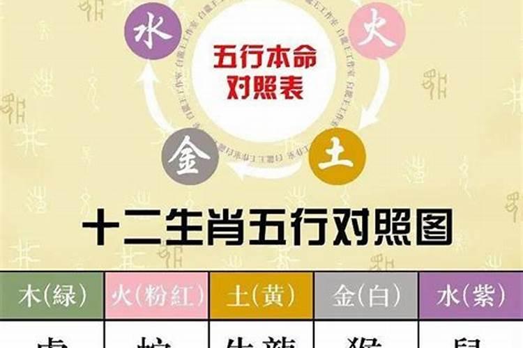 怎么看自己的八字五行属性