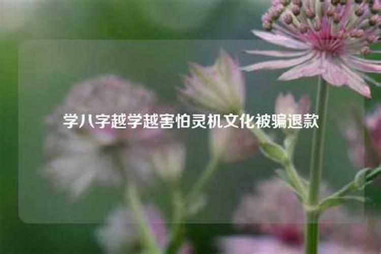 八字排盘为何到八十岁就没了？八字越学越迷茫