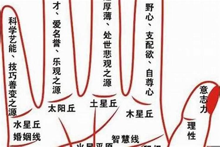 紫微斗数全书南北山人（应聘八字命理预测师）