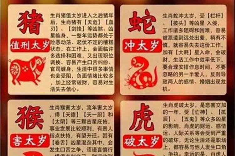 母女俩八字不合