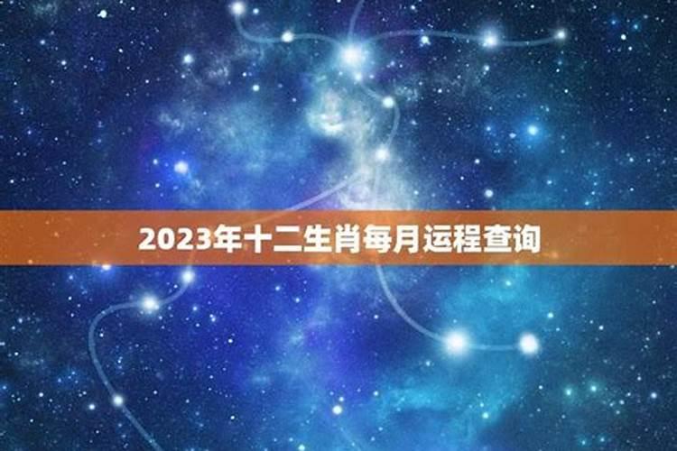 2023年运势生肖运势详解