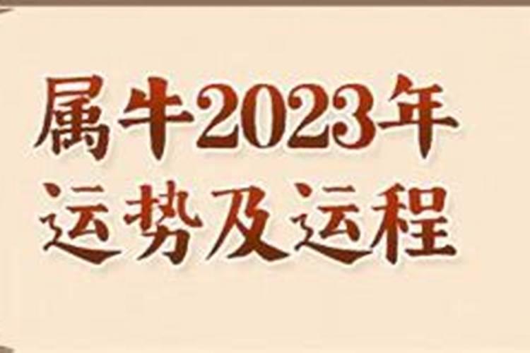 2023年运势完整版