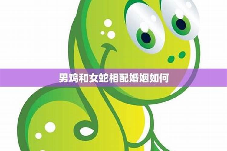 本命年不顺以后会顺利吗为什么