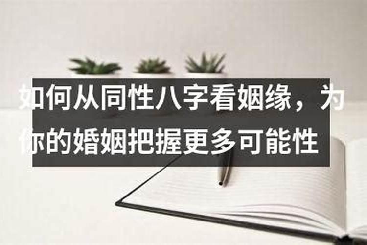 八字同性姻缘分析