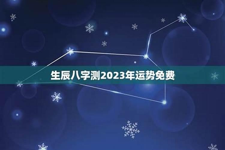 丙子日柱2023运势